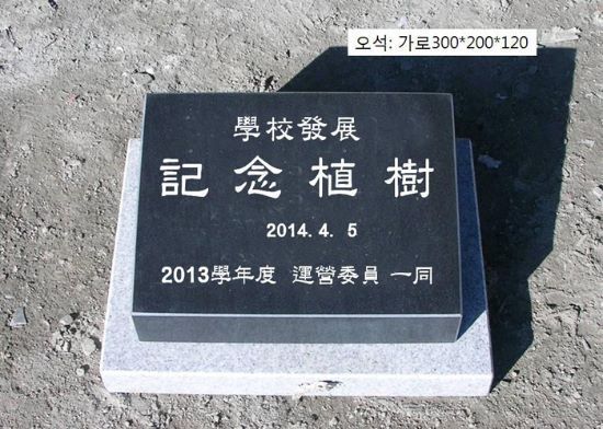 3-5. 정평중학교